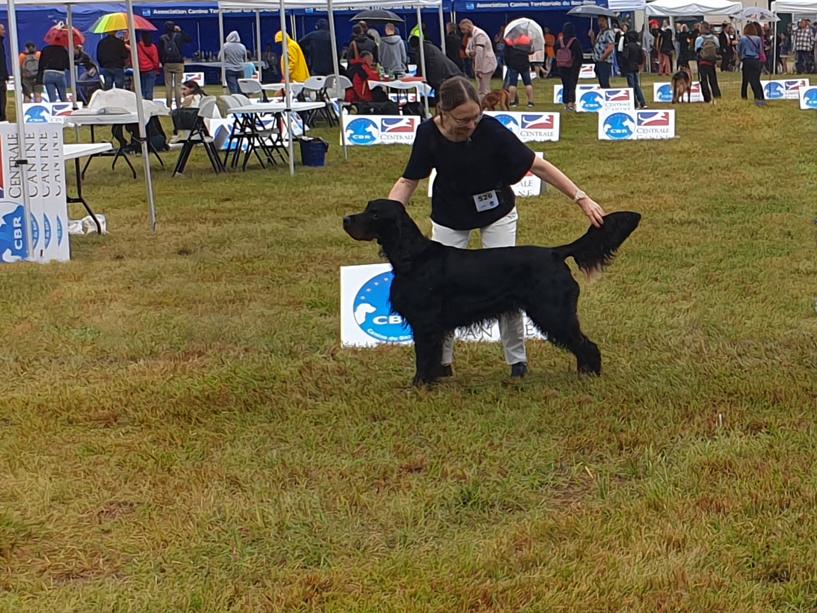 National Dog Show – Hoerdt, France (2024)